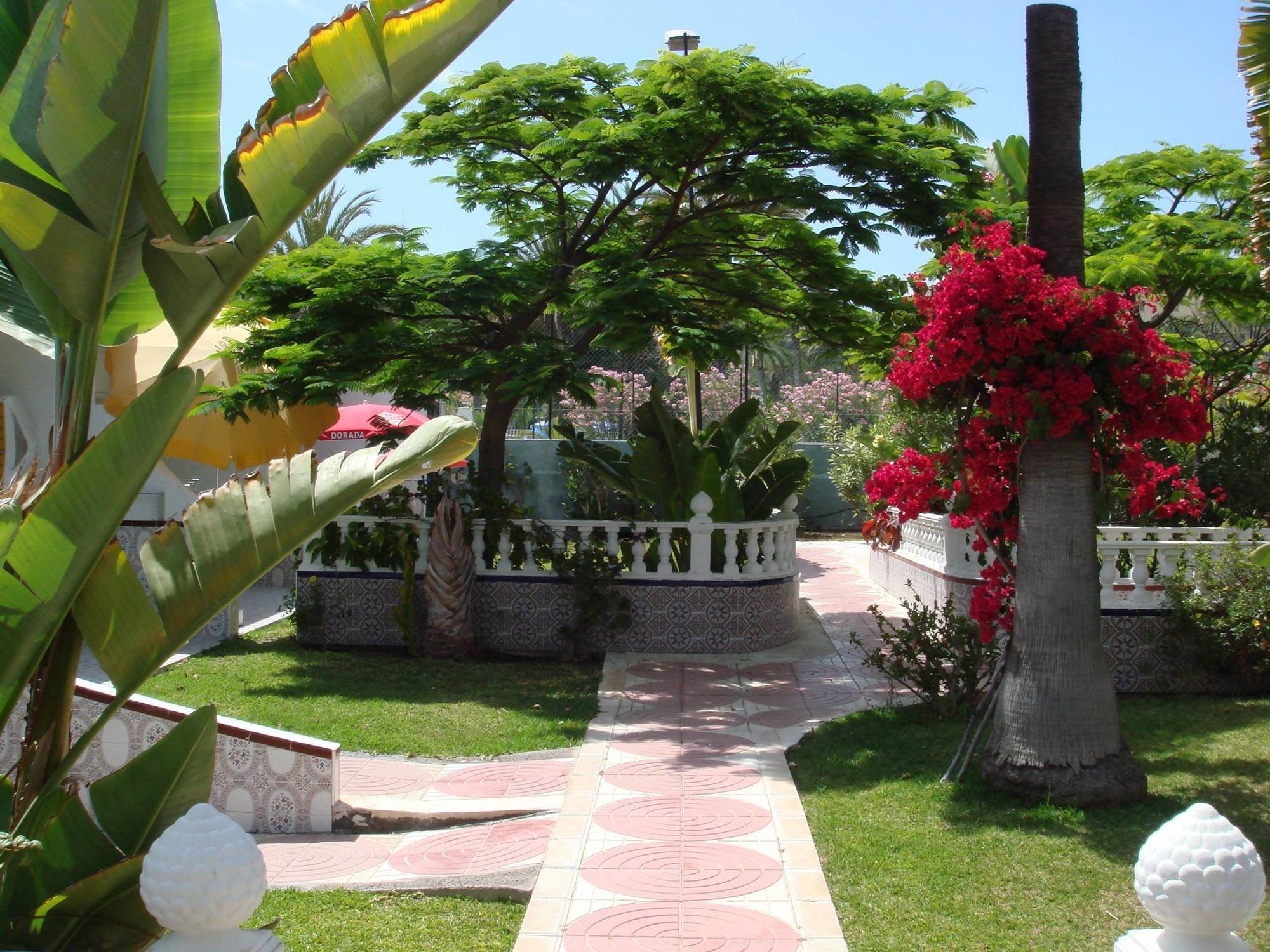 San Valentin & Terraflor Park Hotel Playa del Inglés Kültér fotó
